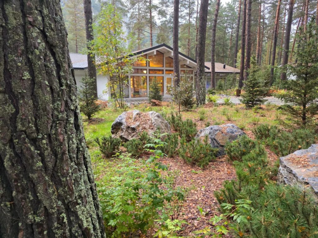 Деревянное здание ресторана "Птичка" на Бирюзовой Катуни, оформленное в серо-оливковом цвете