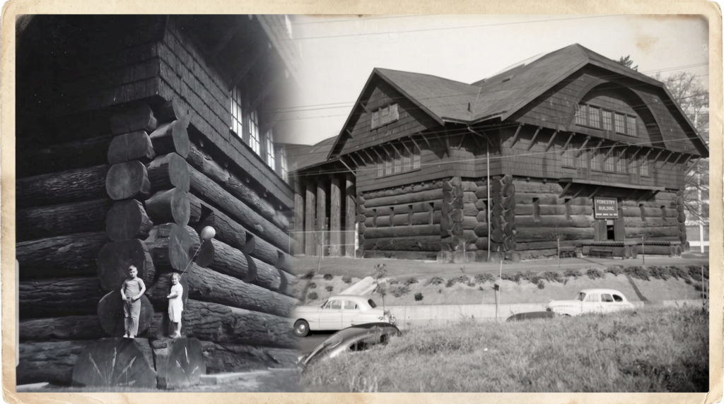 Самая большая изба в истории - Forestry Building